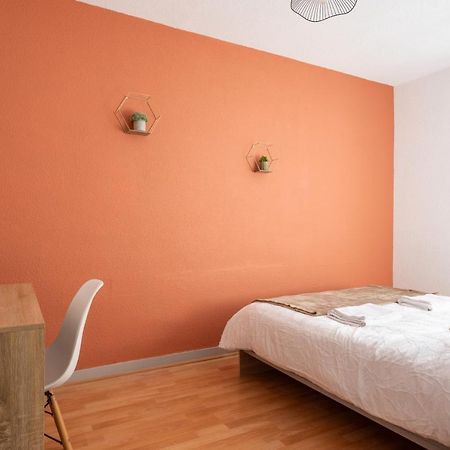 Bel Appartement Renove グルノーブル エクステリア 写真