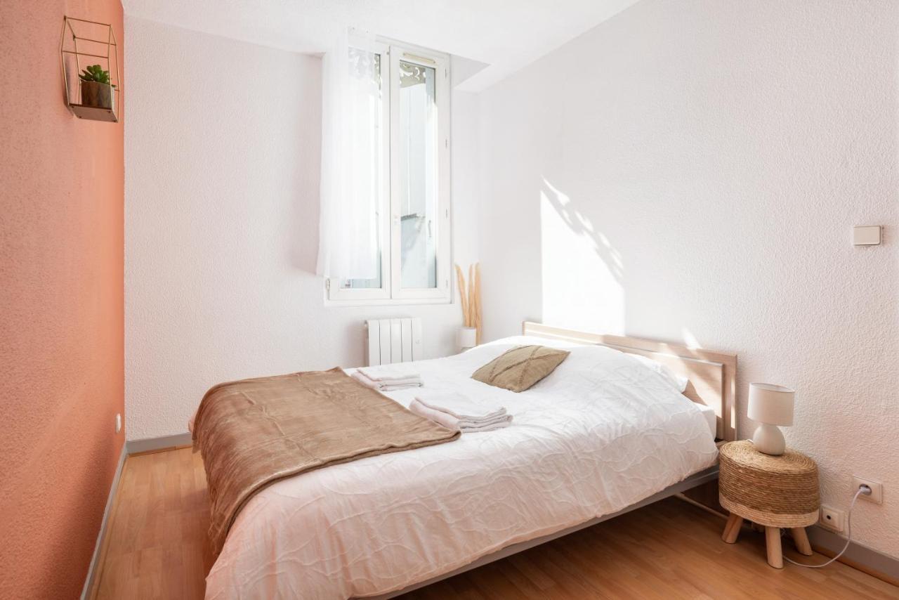 Bel Appartement Renove グルノーブル エクステリア 写真