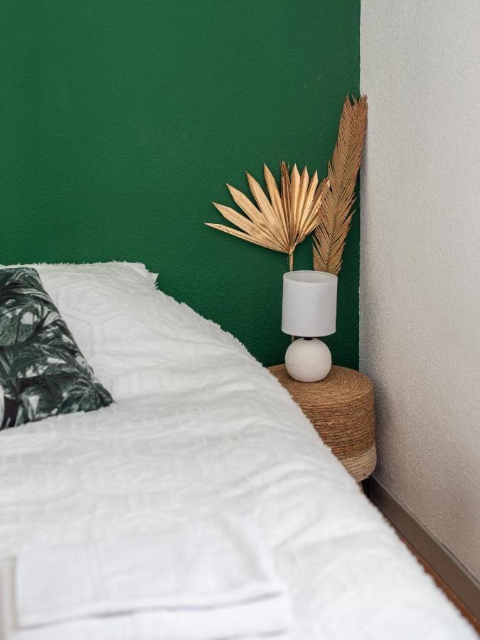 Bel Appartement Renove グルノーブル エクステリア 写真